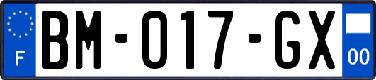 BM-017-GX