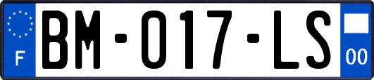 BM-017-LS
