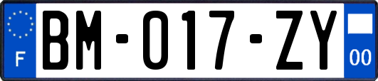 BM-017-ZY