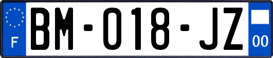BM-018-JZ
