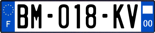 BM-018-KV