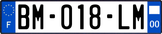 BM-018-LM