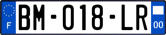 BM-018-LR