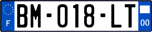 BM-018-LT