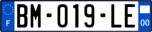 BM-019-LE