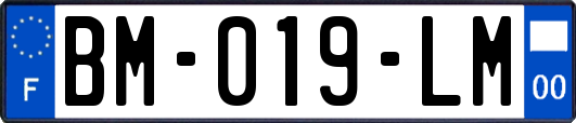 BM-019-LM