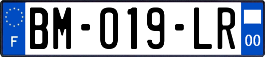 BM-019-LR