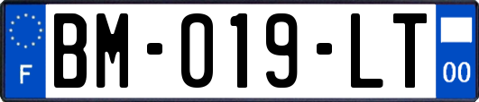 BM-019-LT