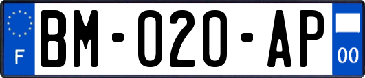 BM-020-AP