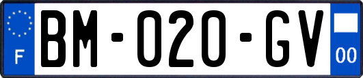 BM-020-GV