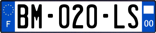 BM-020-LS