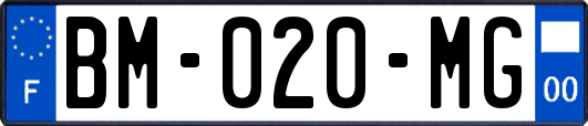 BM-020-MG