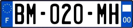 BM-020-MH