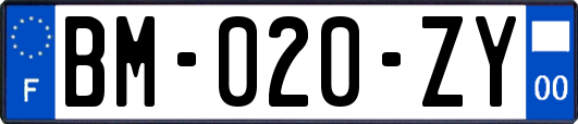 BM-020-ZY