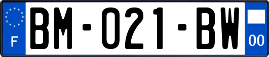 BM-021-BW