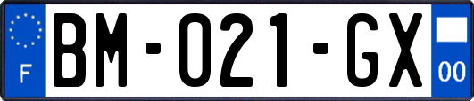 BM-021-GX