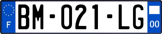 BM-021-LG