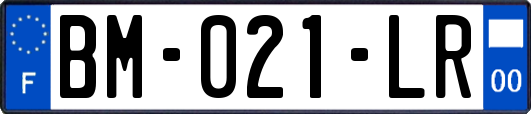 BM-021-LR
