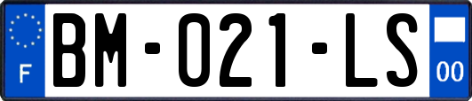 BM-021-LS