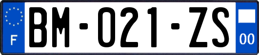 BM-021-ZS