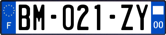 BM-021-ZY