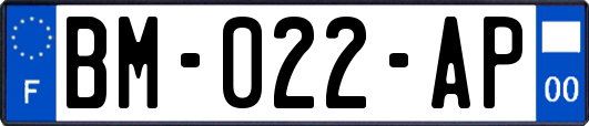 BM-022-AP