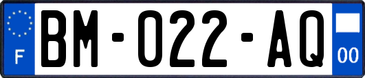 BM-022-AQ