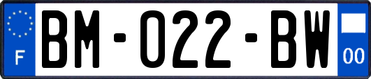 BM-022-BW