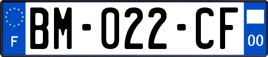 BM-022-CF