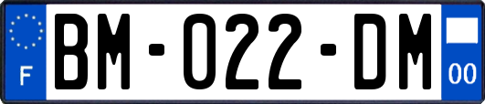 BM-022-DM