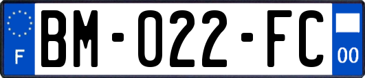 BM-022-FC