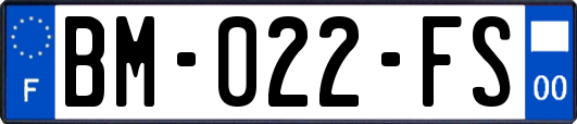 BM-022-FS