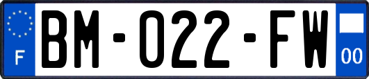 BM-022-FW