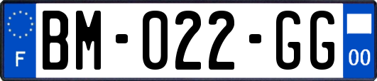 BM-022-GG