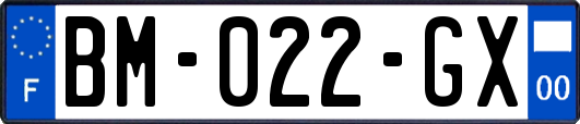 BM-022-GX