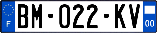 BM-022-KV