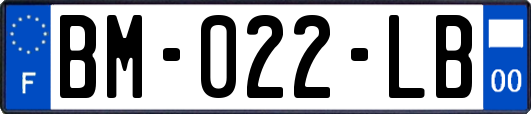 BM-022-LB