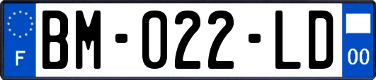 BM-022-LD