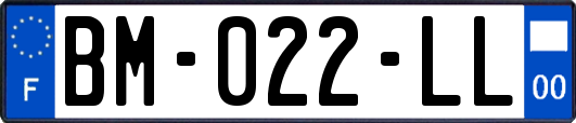 BM-022-LL