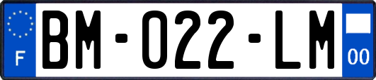 BM-022-LM