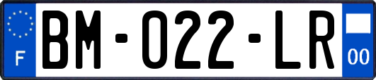 BM-022-LR