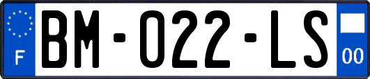 BM-022-LS