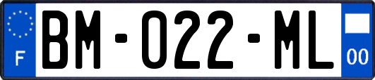 BM-022-ML