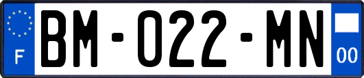 BM-022-MN