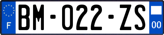 BM-022-ZS