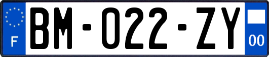 BM-022-ZY