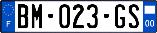 BM-023-GS