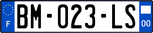 BM-023-LS
