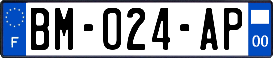 BM-024-AP