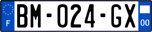 BM-024-GX